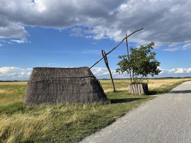 Natur und Tradition in der Langen Lacke in Apetlon. | Foto: Kathrin Haider