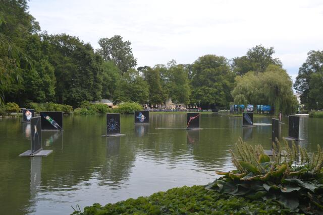Teich mit Bildern von Meerestieren