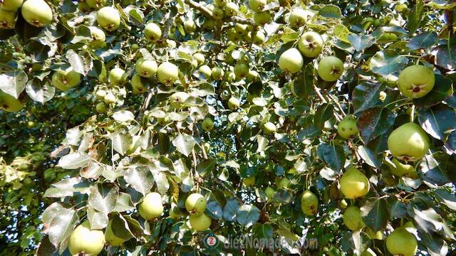 Foto: die2Nomaden.com