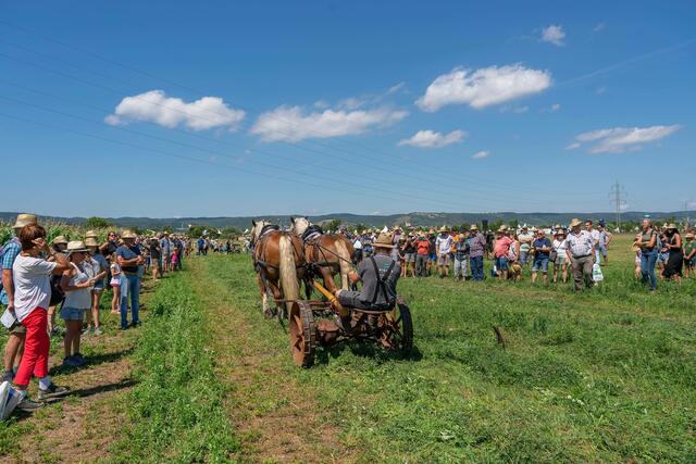 Foto: Andreas Tischler