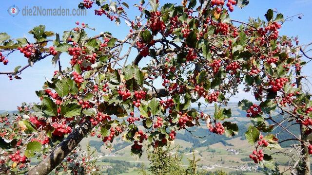 Foto: die2Nomaden.com