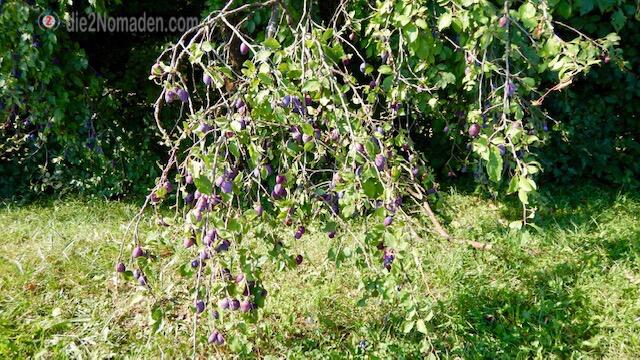 Foto: die2Nomaden.com