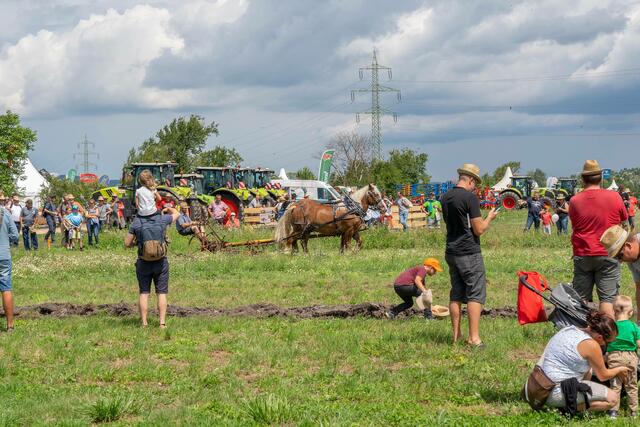 Foto: Andreas Tischler