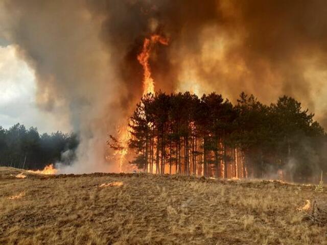 Nordmazedonien bekommt die Waldbrände nicht unter Kontrolle. Hilfe aus Österreich ist vor Ort.  | Foto: BFV Knittelfeld/LFV Steiermark