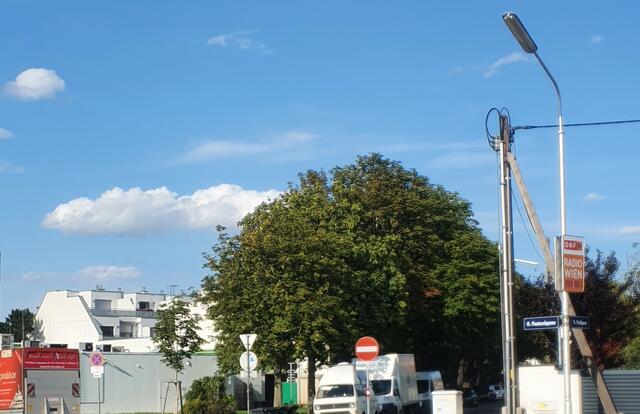 Foto: Philipp Depisch