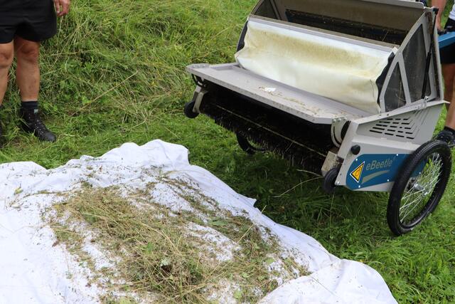 Regionale Saatgutgewinnung: "Strom-Kfer" erntet heimische Samen schonend  ab - Landeck