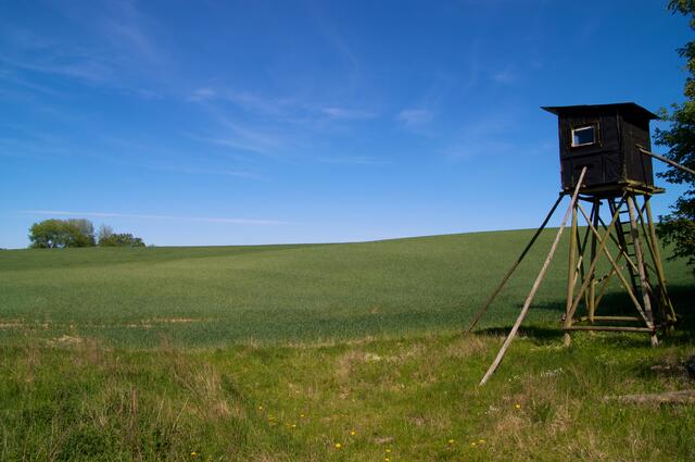 Bei einem "Schießunfall" in Nickelsdorf wurde ein Soldat schwer verletzt (Symbolbild) | Foto: Jörg Franzen/Fotolia