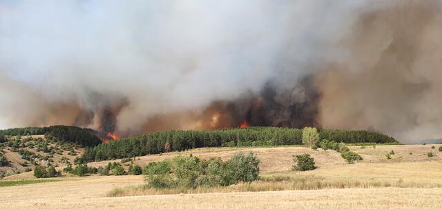 Teilweise sind die Flammen der Brände bis zu 40 Meter hoch. | Foto: BFV Liezen