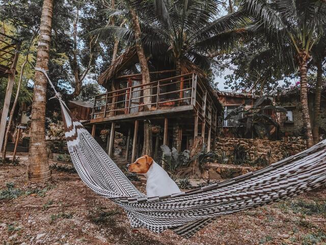 Foto: Joshua Erhardt, cocotravelstories