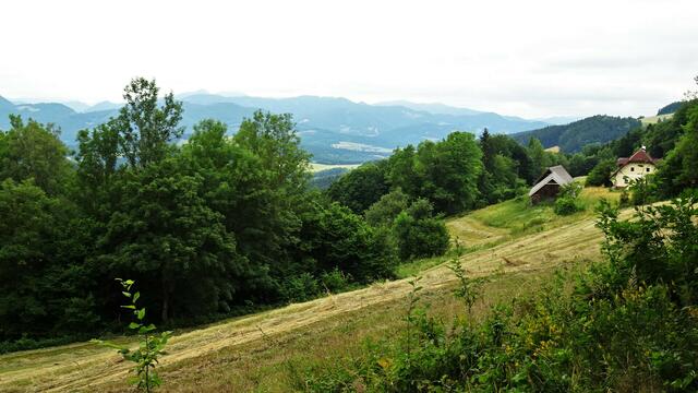 ... in dieser ruhigen, idyllischen Gegend im Wienerwald. | Foto: S.Plischek