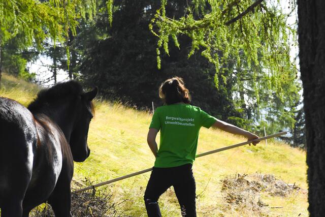 Foto: Miriam Fuchs-Weikl