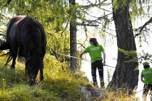 Eine Woche lang wurde auf der Lugger Alm in Iselsberg kräftig gearbeitet. | Foto: Miriam Fuchs-Weikl