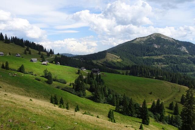 Hüttendorf Turnauer Alm mit dem Rauschkogel