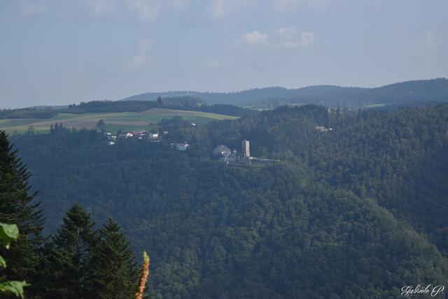 Waldkirchen am Wesen Thema auf meinbezirk.at