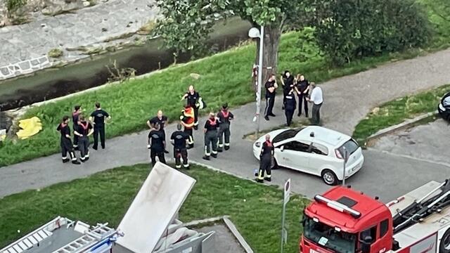 Der Einsatz galt dem Liesingbach | Foto: privat