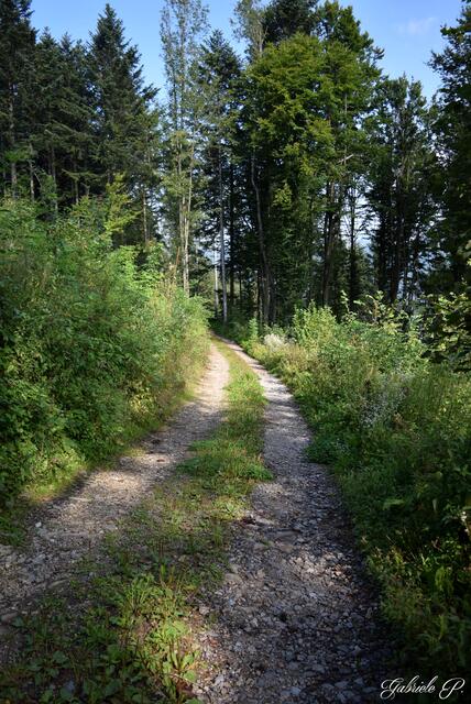 Gemütlicher Weg 