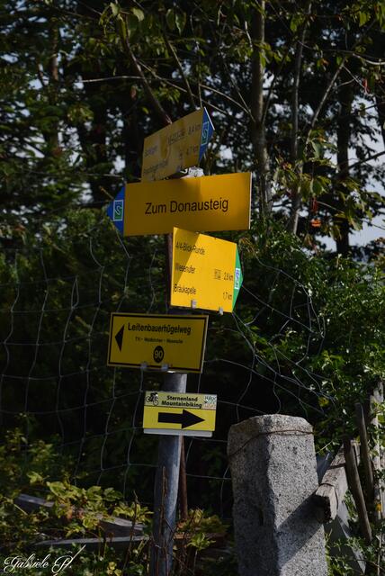 Alle Wege führen nach ?? zur Donau ;) :)  | Foto: Gabriele P. 
