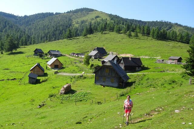 Schöner Blick zur Göriacher Alm, die vom rüstigen, 81-jährigen Herwig Strobl betreut wird. Täglich schaut er auf seine knapp 100 Stück Weidevieh und ist dabei bis zu dreieinhalb Stunden unterwegs.