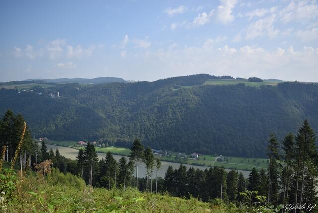Ausblick zur Donau  | Foto: Gabriele P. 