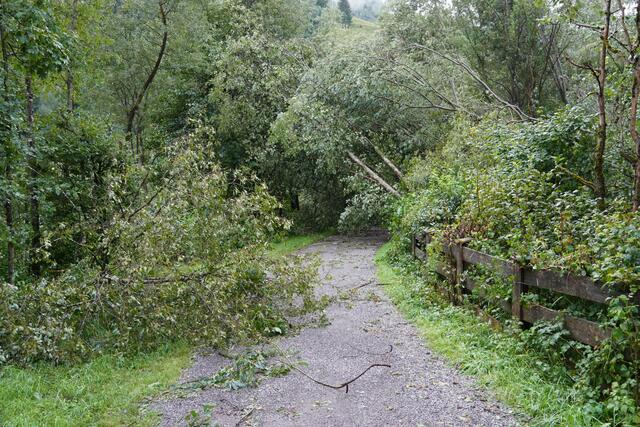 Der Treppelweg beim Kraftwerk Mittlere Salzach (Ortsteil Plankenau) ist nicht begeh- oder mit dem Rad befahrbar.  | Foto: Julia Hettegger