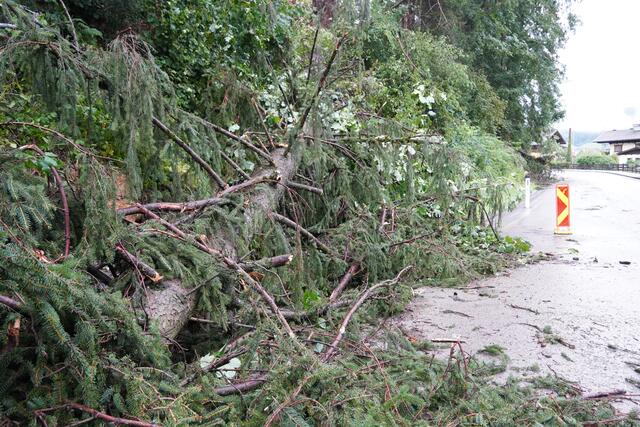 Der St. Johanner Ortsteil Plankenau (Richtung Liechtensteinklamm) war gestern stundenlang nicht befahrbar. Auch Bäume sind dort umgestürzt.  | Foto: Julia Hettegger