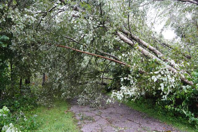 Der Treppelweg beim Kraftwerk Mittlere Salzach (Ortsteil Plankenau) ist nicht begeh- oder mit dem Rad befahrbar.  | Foto: Julia Hettegger