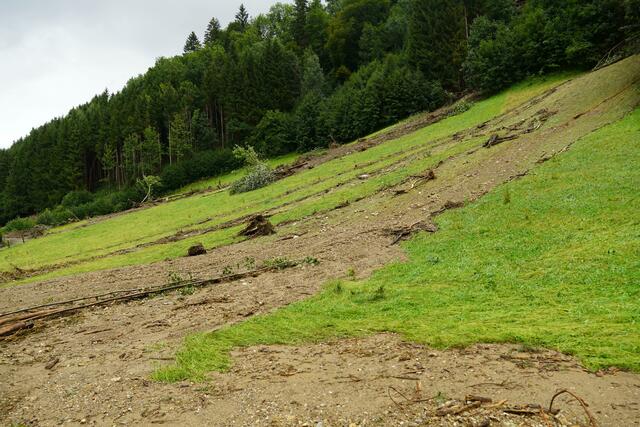 Mehrere Muren sind auf die Straße zwischen St. Johann und Großarl niedergegangen.  | Foto: Julia Hettegger