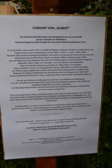 Wissenswertes über den Höhlenbären "Hubert" erfährt man beim Eingang zur Ötscher-Tropfsteinhöhle. | Foto: Roland Mayr