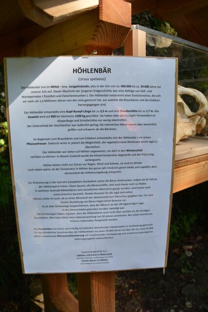 Wissenswertes über den Höhlenbären "Hubert" erfährt man beim Eingang zur Ötscher-Tropfsteinhöhle. | Foto: Roland Mayr
