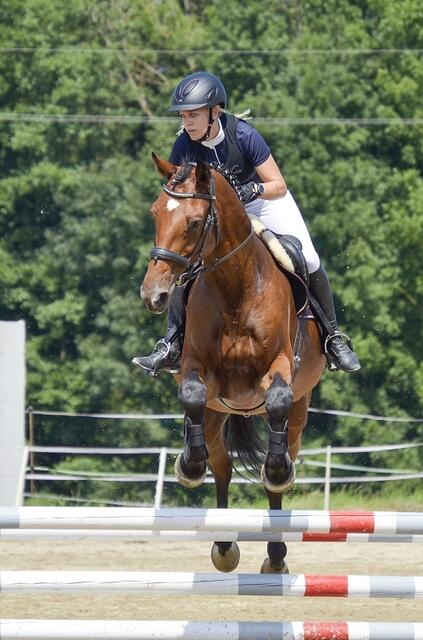 Claudia Ortner vom Reitclub Wendling ist neue Bezirksmeisterin in der Klasse "R1 Reiter". | Foto: A. Buchner