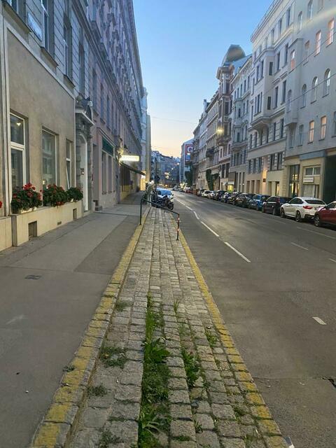 Das einzige Grün: das Unkraut zwischen den Pflastersteinen.  | Foto: Neos Wien