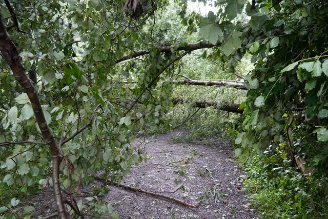 Der Treppelweg beim Kraftwerk Mittlere Salzach (Ortsteil Plankenau) ist nicht begeh- oder mit dem Rad befahrbar.  | Foto: Julia Hettegger