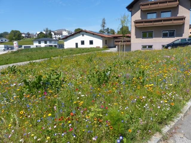 Foto: Hubert Schinkinger, Lembach