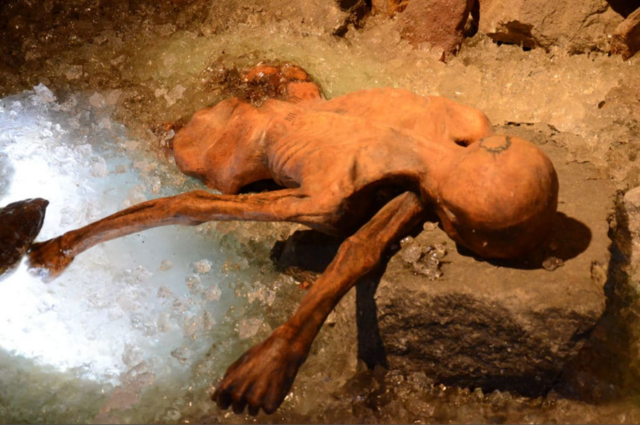 Ötzi, der Mann aus dem Eis, so hat man ihn am Hauslabjoch aufgefunden. Es handelt sich hier um eine Nachbildung - Ötzi selbst im Original befindet sich im Südtiroler Archäologiemuseum in Bozen. Dort ist er seit 1998 für Besucher zugänglich | Foto: Ötzi Dorf Umhausen