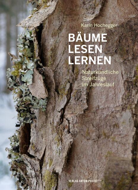 „Bäume lesen lernen“ von Karin Hochegger erschien am 3. August im Verlag Anton Pustet Salzburg.