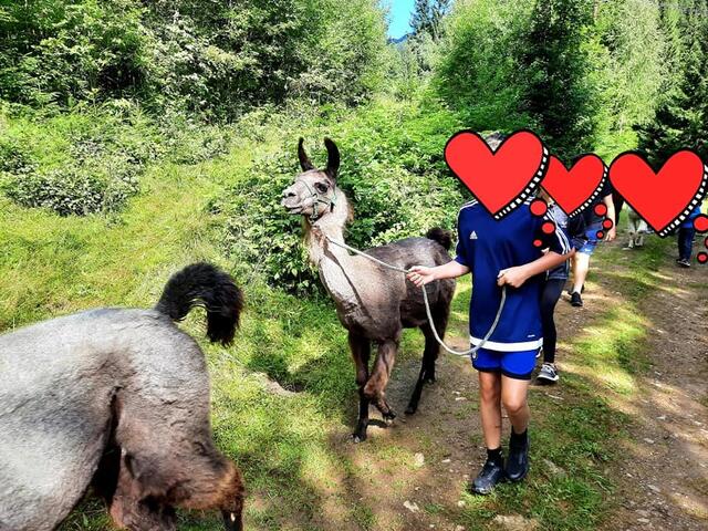 Die Lama-Wanderung in Hirschegg begeisterte die Kinder. | Foto: KK