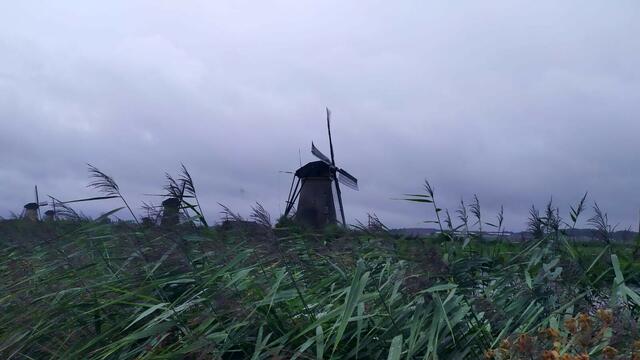 Der kleine Ort Kinderdijk und seine vielen Windmühlen, unweit der Stadt Rotterdam, wurde von der UNESCO 1997 in die Liste des Weltkulturerbes aufgenommen. | Foto: Aina Geber