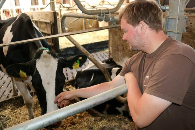 Im Jahr 2020 konnte – mit Ausnahme der Futterbaubetriebe, die fast die Hälfte aller landwirtschaftlichen Betriebe ausmachen. Im mehrjährigen Vergleich stagnieren die land- und forstwirtschaftlichen Einkommen. | Foto: Eva-Maria Nagl