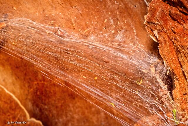 .........wer macht da drinnen diese Arbeit.....