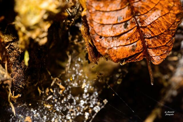 ..........der erste Einblick......