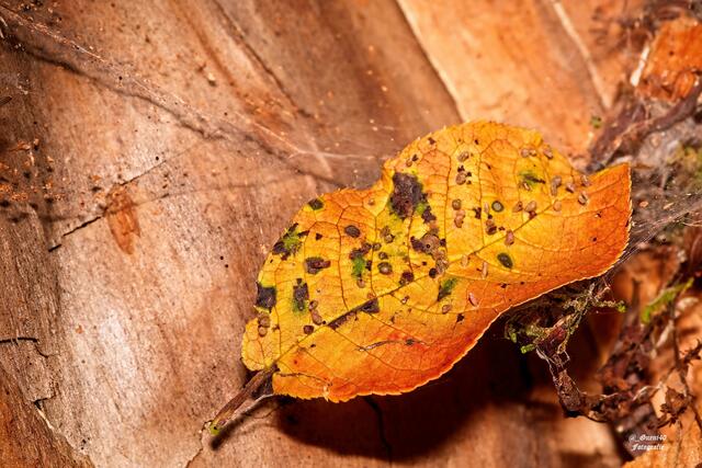.........es hat seinen Platz drinnen gefunden.....