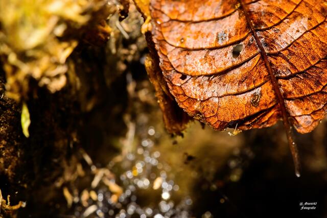 .........was glitzert da wohl unten......