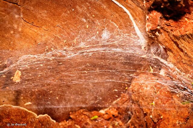 ..........hier wird noch alles aufgefangen.....