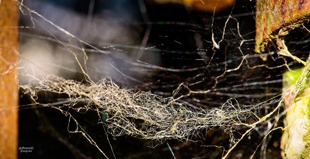 ............filigran aber interessant......