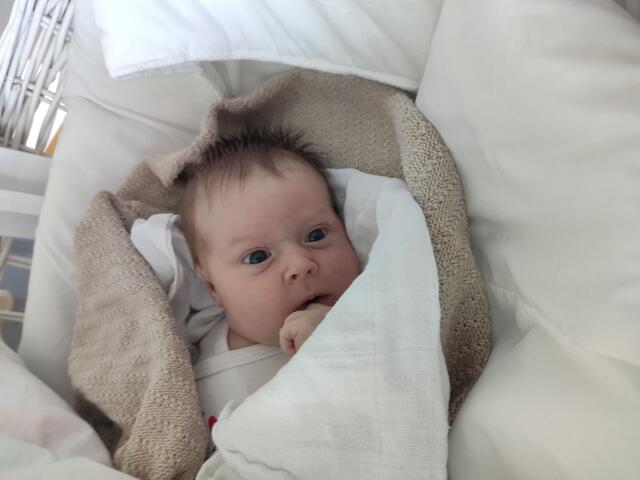 Marie
Geburt: 1. Juni 2021
51 cm, 3.420 g
Isabella Paulic und Martin Milhalm aus Neudorf an der Mur | Foto: Privat