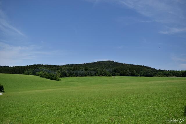 Landschaft pur