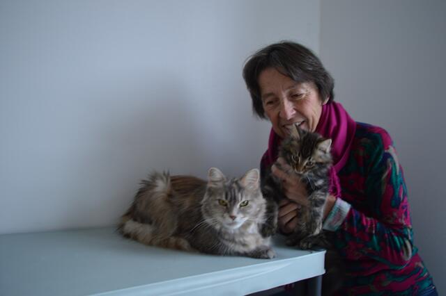 Jutta Kernstock kümmert sich rührend um die Katzen