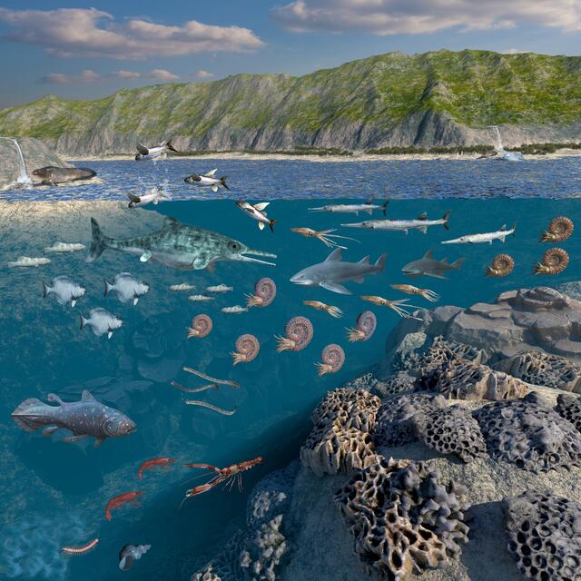 Lebensbild der Polzberg Palaeobiota | Foto: Lukeneder, NHMW