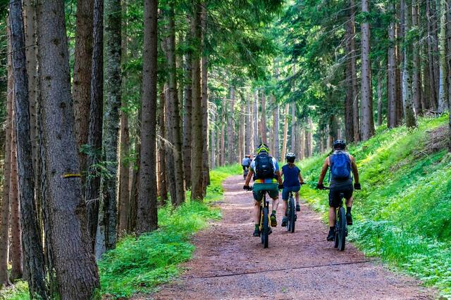Aufgrund von Forstarbeiten ist die Mountainbikestrecke LE 2 von Leoben ins Laintal ab 30. August nicht befahrbar.  | Foto: pixabay