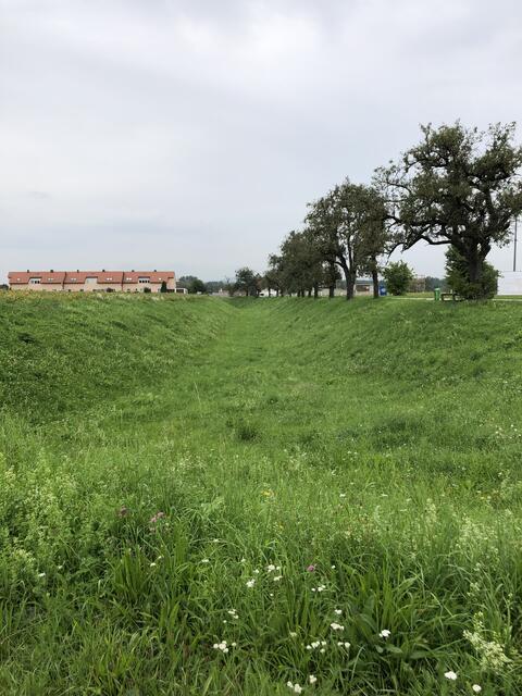 Römergraben: Ehem NÖ-Ecke des Römerlagers | Foto: Gottfried Kneifel